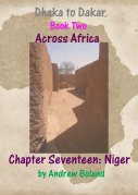 cover niger copy