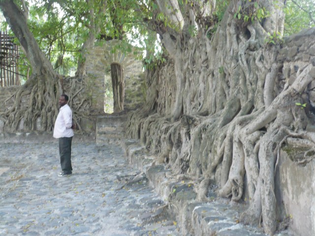 Queen Faslida's Baths