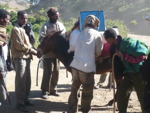 Loading up donkeys for the Simien Trek