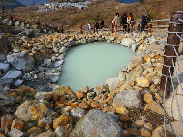 That pool is probably too hot to swim in.