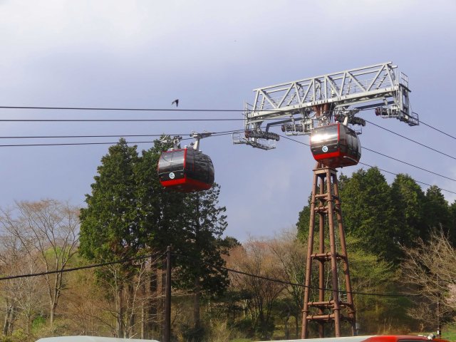 The ropeway