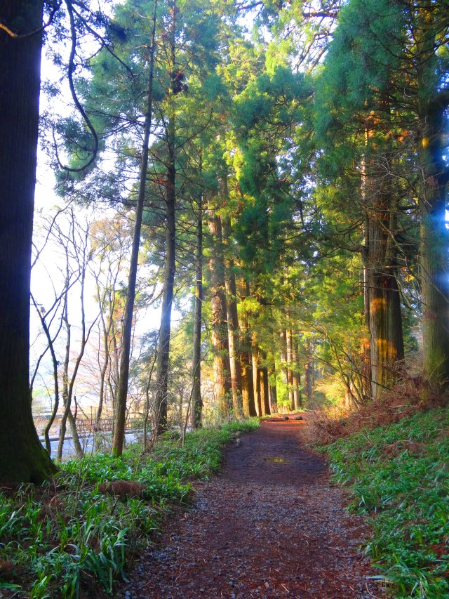 Walking the beautiful Cedar Avenue
