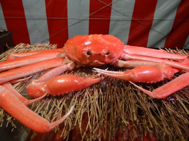 A new friend I made by the river