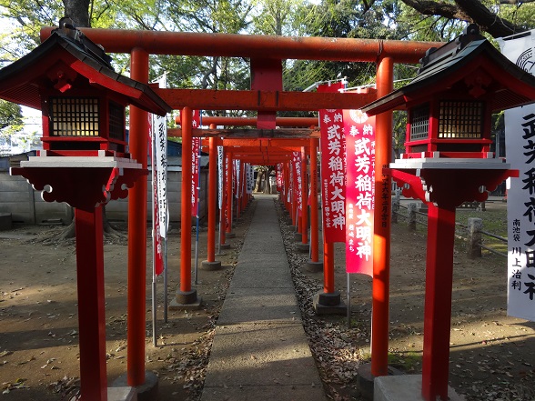 Beautiful path under red gates.