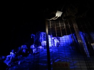 Lighting makes the ice look even more enchanting.