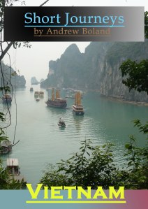 vietnam cover copy med