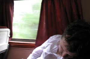 ooops! see the greenery outside!