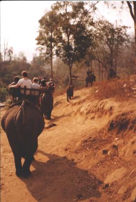 Elephant trekking - part of the quintessential Thailand experience now for a long time.