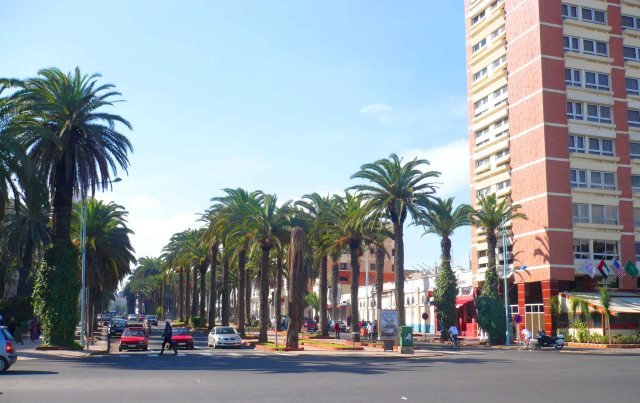 And the occasional palm tree!