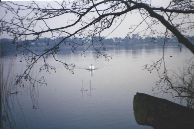 The lake I rode around before I got lost.