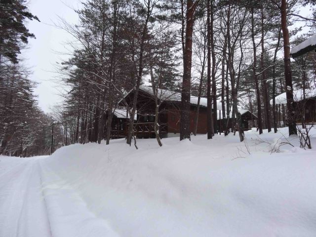 Remembrance of December 2013