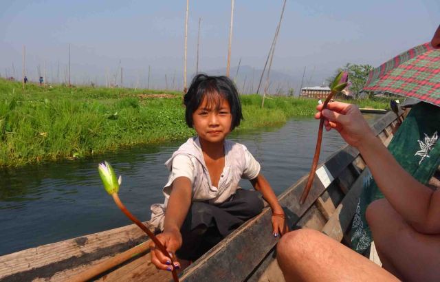 Lotus flower anyone?