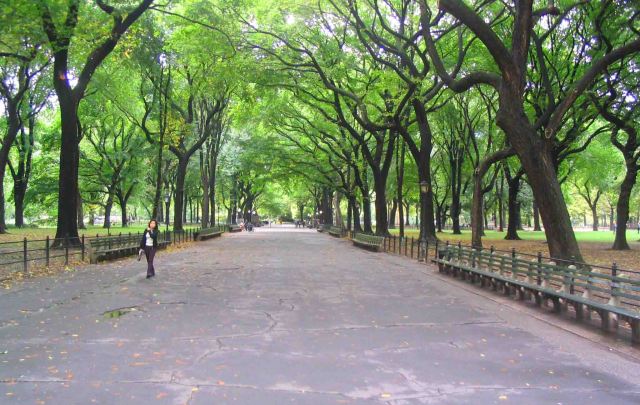 Central Park