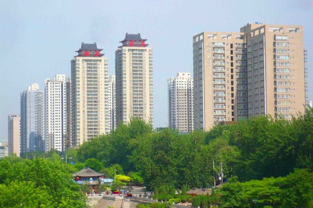Sky scraping apartment blocks above the greenery.