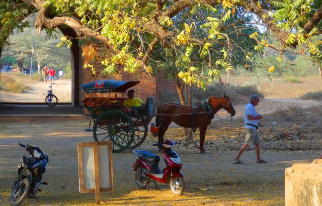 Many and varied forms of transport at Bagan!