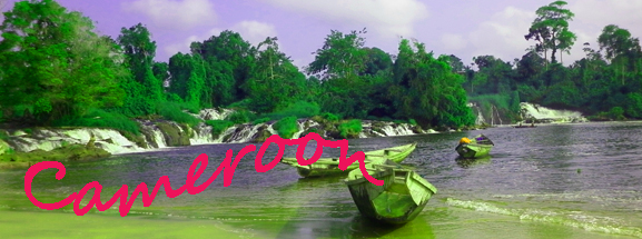 cameroon banner