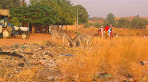 Outskirts of Banfora.
