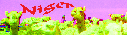 banner niger