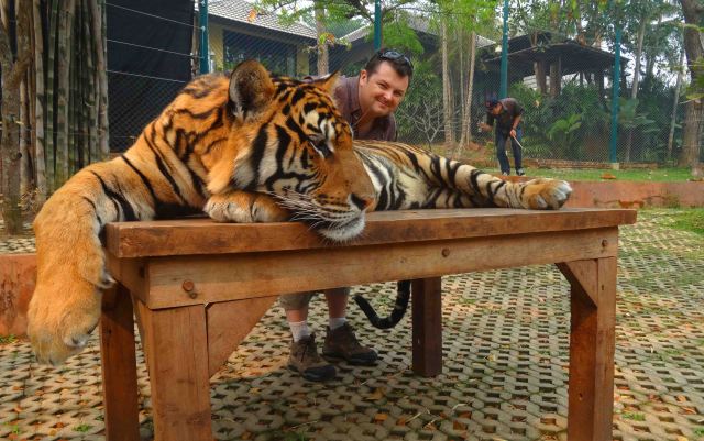 Yep. Me and a tiger. So there! :)