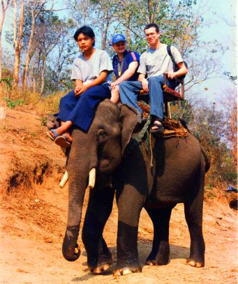 Any excuse to use this photo again!