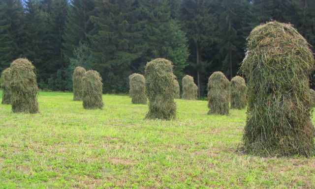 zakopane hay stacks