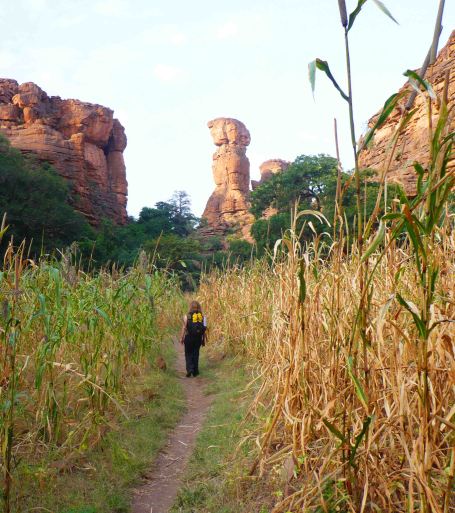 Halfway between the bottom and top.