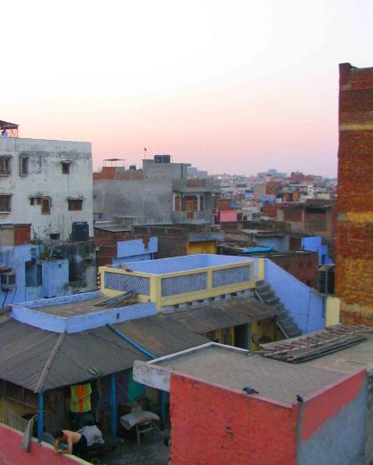 Delhi rooftops on the Paraganj.