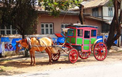 Horse and Carriage in Pyin Oo Lwin