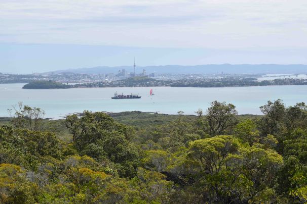 View of Auckland from Rangitoto Island
