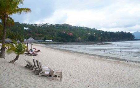 Hamilton Island beach