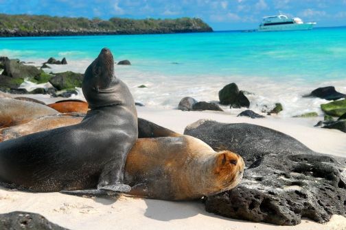 islas-galapagos-ecuador-galapagos-islands-ecuador+1152_12972078733-tpfil02aw-12879