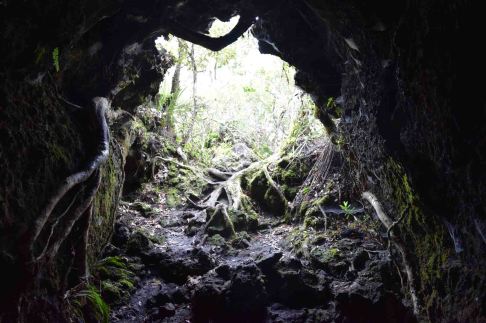 Inside the lava cave.