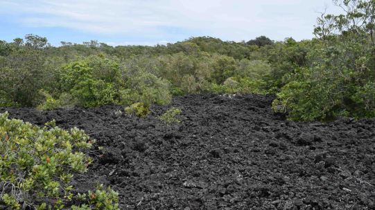 Lava fields as the climb.