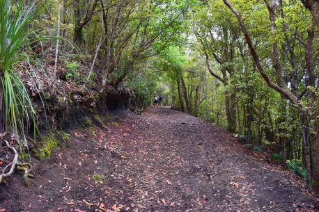 The path gets very pretty near the top.