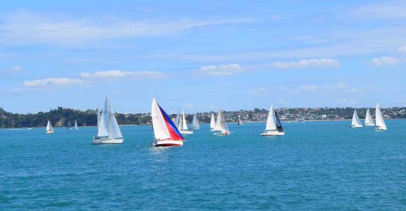Sail boats from the ferry on the return trip to Auckland.
