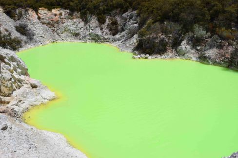 One of the last pools we passed before exiting, the greeness of it all!