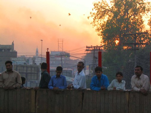Watching atop the barrel. 