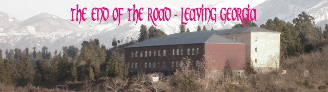 banner leaving georgia copy