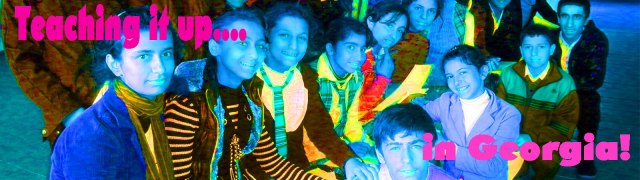 banner teaching georgia