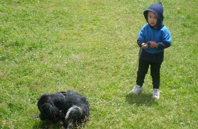 boy and dog altyn arashan