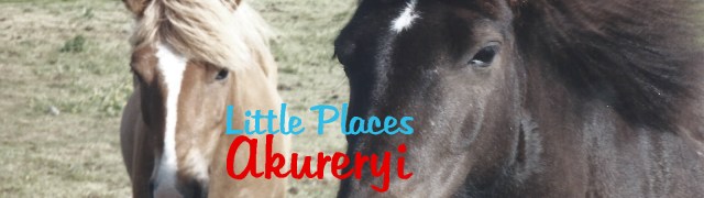 banner akureryi copy