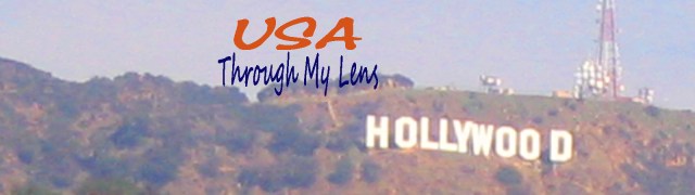 banner use through my lens copy