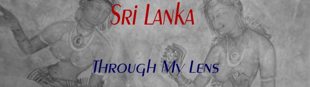 banner-sri-lanka-through-my-lens-copy