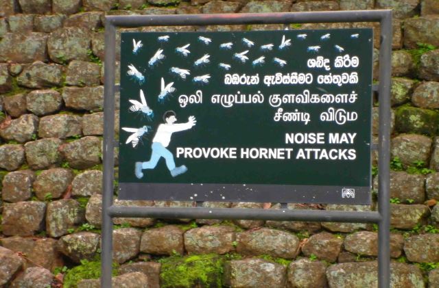 Interesting sign at Sigiriya.