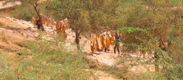 tans-drying-near-niger-river